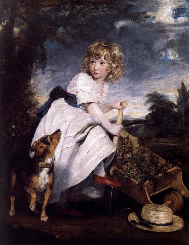 Sir Joshua Reynolds Master Henry Hoare as The Young Gardener china oil painting image